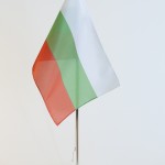 stojaczek kamienny _1